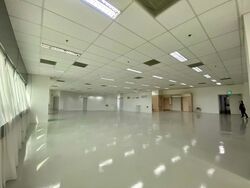 Techpoint (D20), Factory #586024101